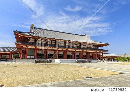 薬師寺　ハス 41739922
