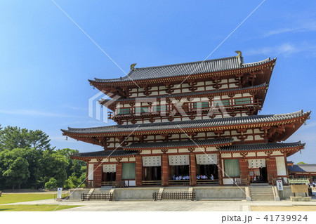 薬師寺　ハス 41739924