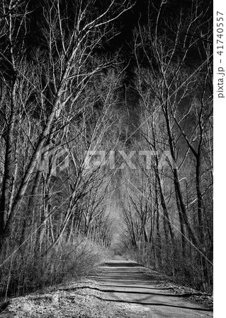 black and white photo. 41740557