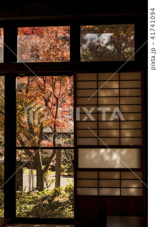 秋の庭 秋の庭 41741094