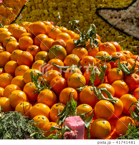basket of oranges basket of oranges 41741481