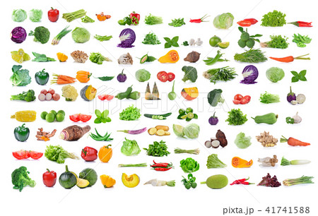 Vegetable isolated on white background. Vegetable isolated on white background. 41741588