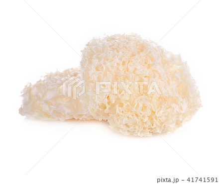 tremella fuciformis white fungus  41741591
