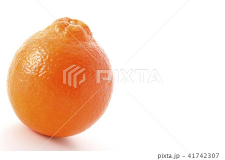 ミネオラオレンジ～タンジェロ～ 41742307