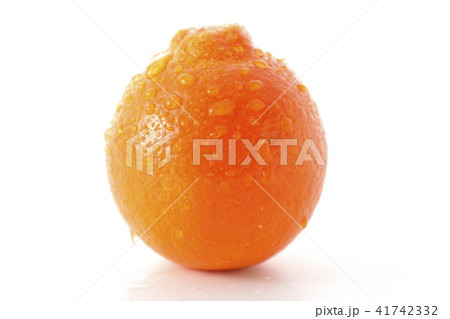 ミネオラオレンジ～タンジェロ～フレッシュ 41742332