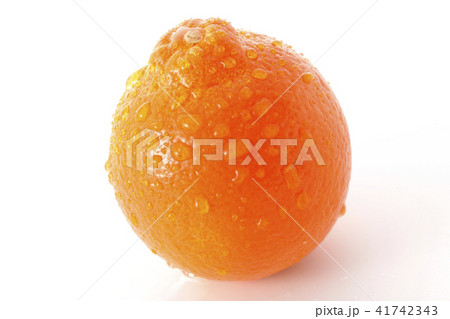ミネオラオレンジ～タンジェロ～フレッシュ 41742343