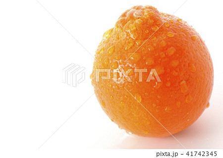 ミネオラオレンジ～タンジェロ～フレッシュ 41742345