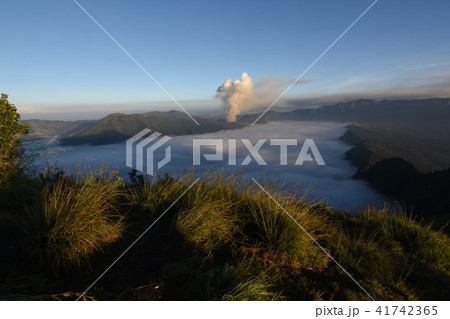 Mount bromo seen from the height of the Semeru 41742365