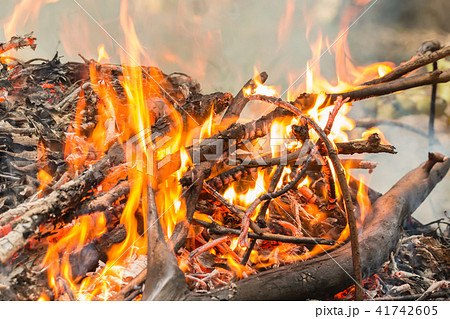 Bonfire of the fallen leaves and dryntree Bonfire of the fallen leaves and dryntree 41742605
