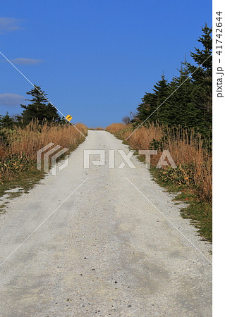 北海道　稚内　白い道 41742644