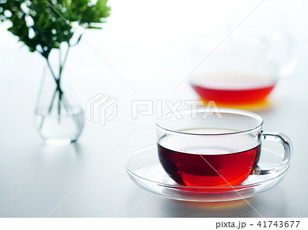 ガラスのティーカップと紅茶の写真素材