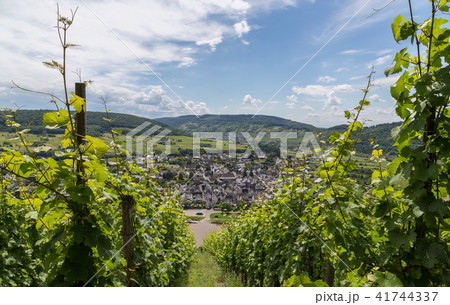 Puenderich at the Moselle Germany Europe 41744337