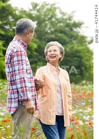 人物 散歩 高齢者 41744414
