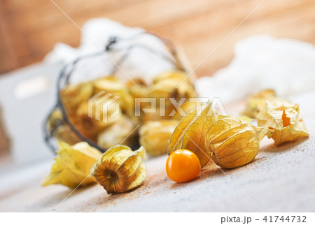 Physalis Physalis 41744732