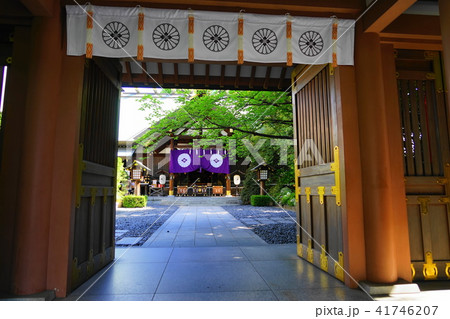 5月 飯田橋31東京大神宮 5月 飯田橋31東京大神宮 41746207