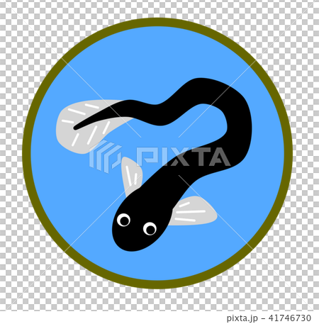 ウナギ ウナギ 41746730