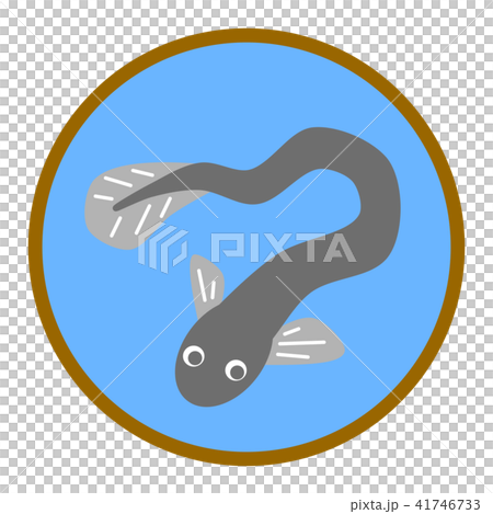 eel eel 41746733