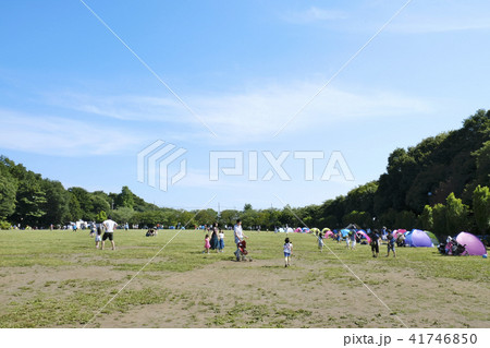 相模原麻溝公園 相模原麻溝公園 41746850