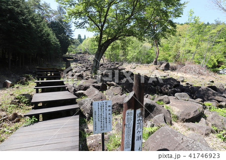 奇岩の連なる鍋倉渓 41746923
