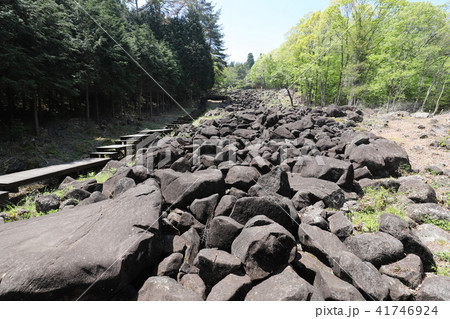 奇岩の連なる鍋倉渓 41746924