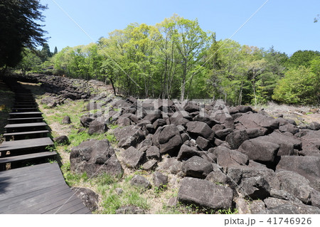 奇岩の連なる鍋倉渓 41746926