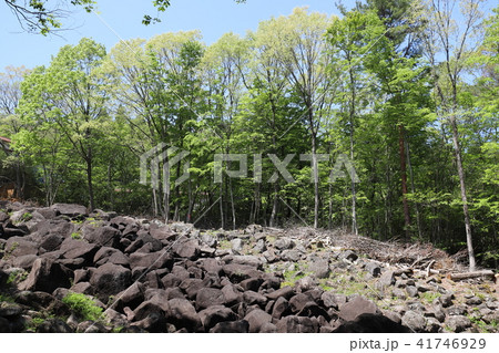 奇岩の連なる鍋倉渓 41746929