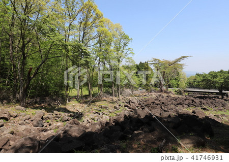 奇岩の連なる鍋倉渓 41746931