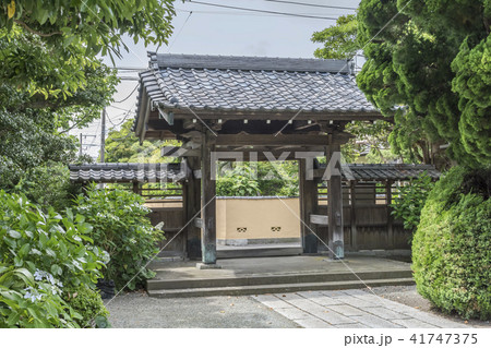 実相寺 (鎌倉市材木座) 41747375