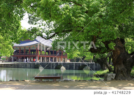 広寒楼 遺跡建造物 湖 41748229