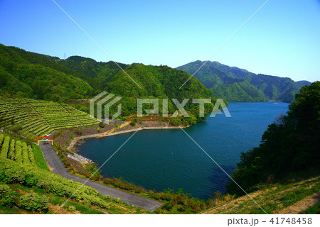 初夏の宮ケ瀬湖 初夏の宮ケ瀬湖 41748458