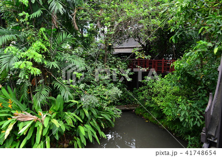 スアンパッカード宮殿21 41748654