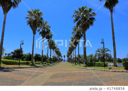 リゾート地と青空　 41748856