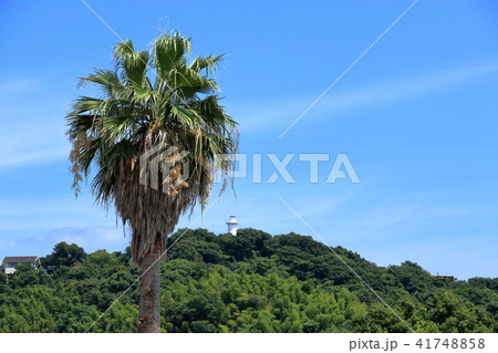 灯台（赤穂市）　 41748858