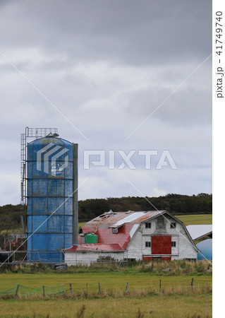北海道　根室地方　牧場のある風景 41749740