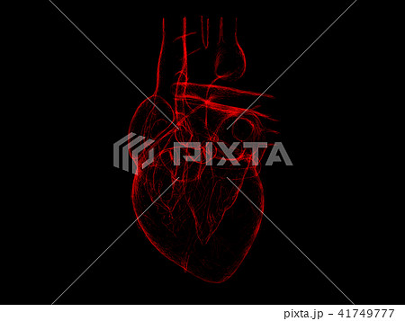 Isolated x-ray red human heart 3d illustration on black background Isolated x-ray red human heart 3d illustration on black background 41749777