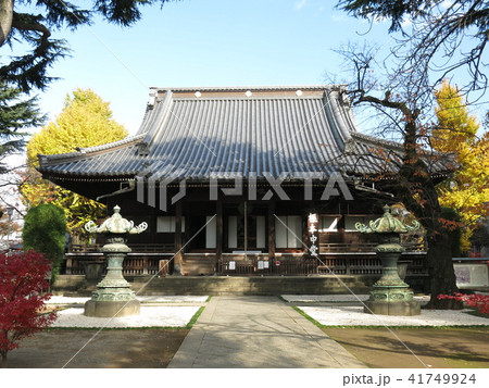 紅葉・黄葉が彩りを添える秋の寛永寺(根本中堂) 紅葉・黄葉が彩りを添える秋の寛永寺(根本中堂) 41749924