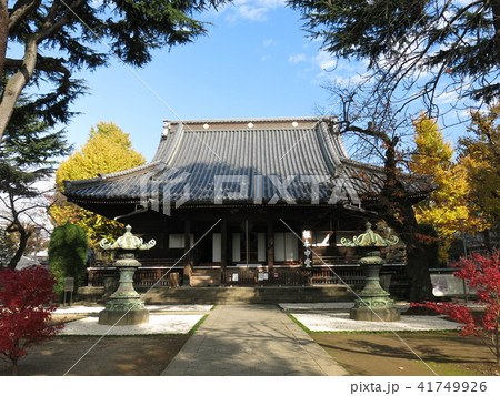 紅葉・黄葉が彩りを添える秋の寛永寺(根本中堂) 紅葉・黄葉が彩りを添える秋の寛永寺(根本中堂) 41749926