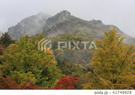 ベクハクボン 山 霧 41749928