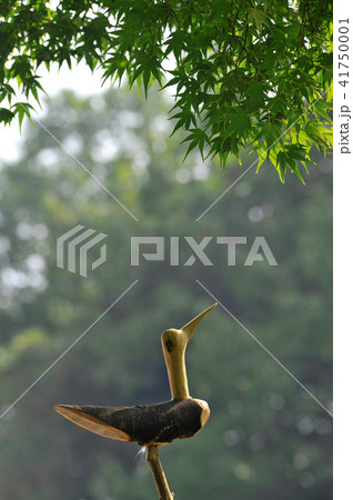 ソッテ 魔除け 守護神 41750001