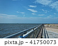 袖ケ浦海浜公園から東京湾の眺め 41750073