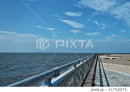袖ケ浦海浜公園から東京湾の眺め 袖ケ浦海浜公園から東京湾の眺め 41750073