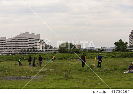 夏　夕涼み　犬の散歩 41750164