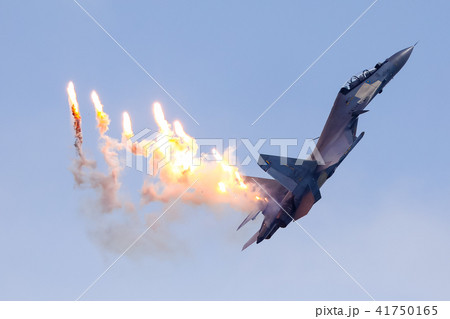 Su-30MKM マレーシア空軍 41750165