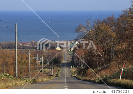 北海道 斜里 海に続く道 北海道 斜里 海に続く道 41750232