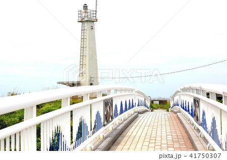 金浦漁港 金浦漁港 41750307