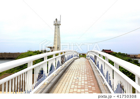 金浦漁港 金浦漁港 41750308