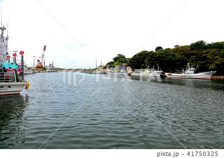 金浦漁港 金浦漁港 41750325