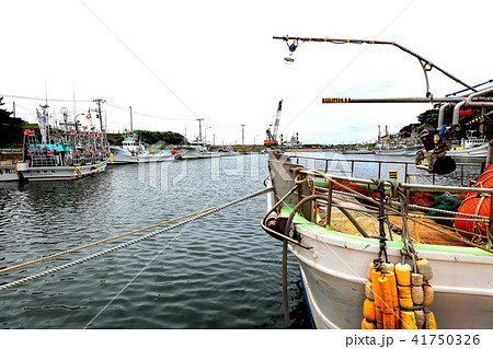 金浦漁港 金浦漁港 41750326