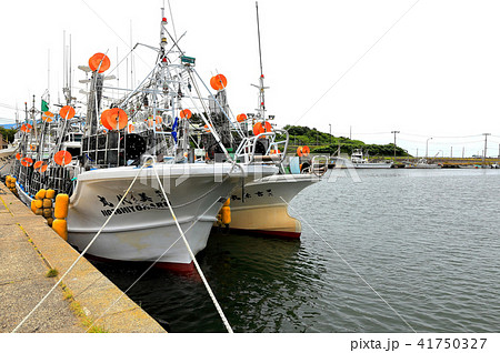 金浦漁港 金浦漁港 41750327