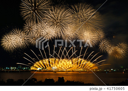 桑名水郷花火大会 41750605